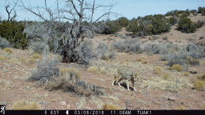 1108:030818:63F:0000:TUAK1   :6E[202:0005]G[008:0x0006]