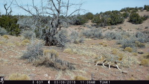 1108:030818:63F:0000:TUAK1   :6E[202:0005]G[008:0x0006]