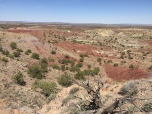 Top o'the world, Ma!