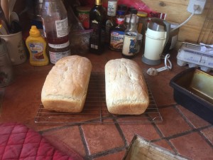 bread