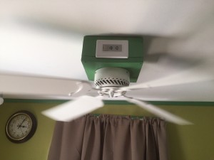 fan