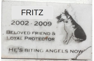 FRITZ2