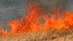 Grass Fire, Vegetation Fire, Flames, Wildfire, Generic