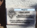 magnus