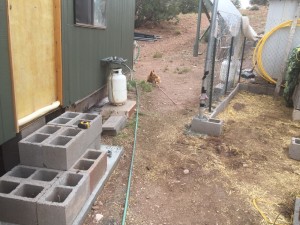 kennel1