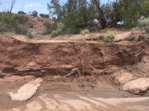 washout