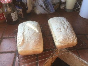 bread2